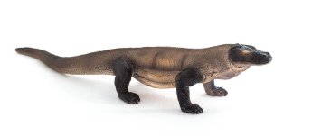 c76f22646ad6815509ed21e740fb9eb6