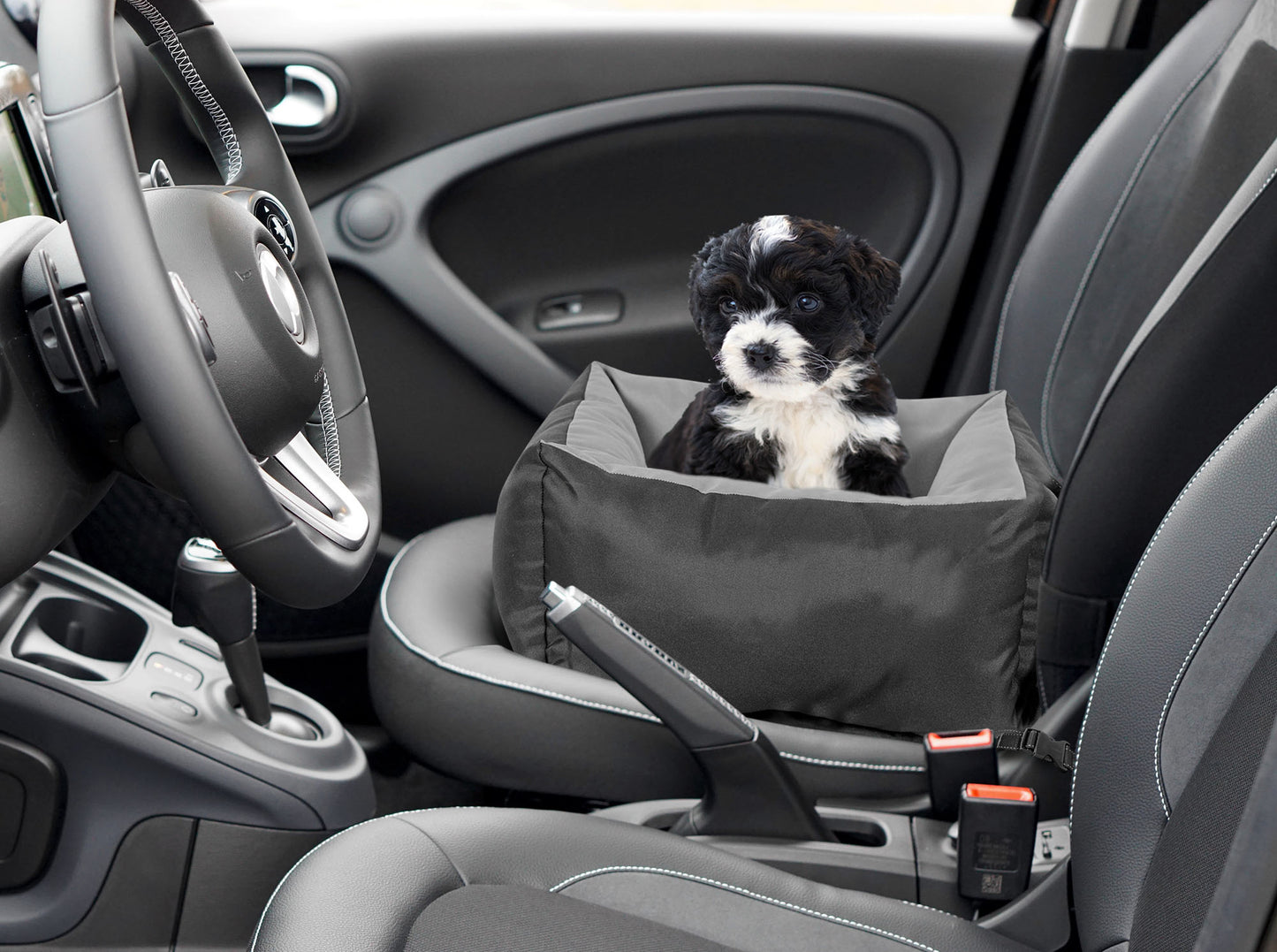 c3cf1747c47e8fd2364faef79d1cdebf