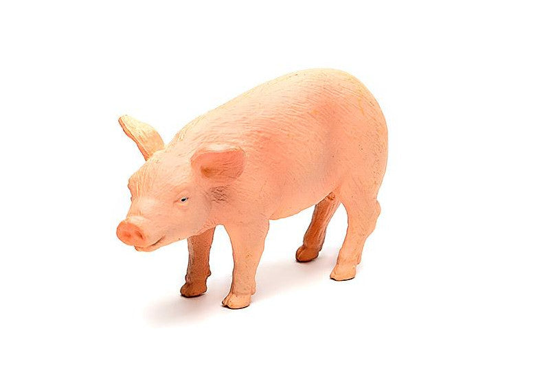 ac6bf9a0b877890fa1ff48742f2148a4