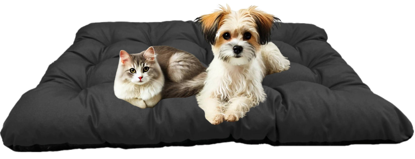 8920f44bfdc108390ae8c7a94a2adc9e