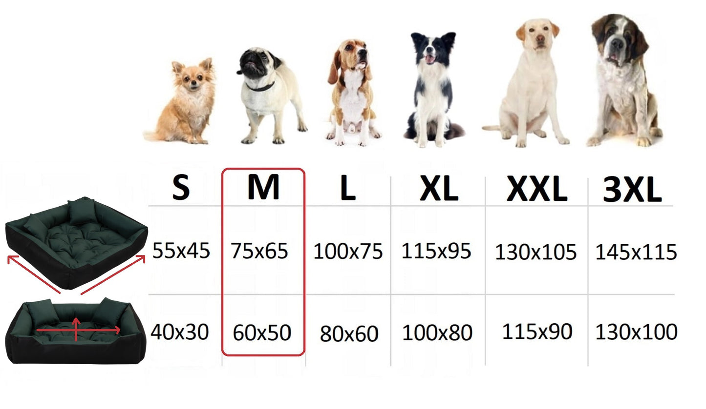 80368d2ef05188ced73cdb2b548ccd2d