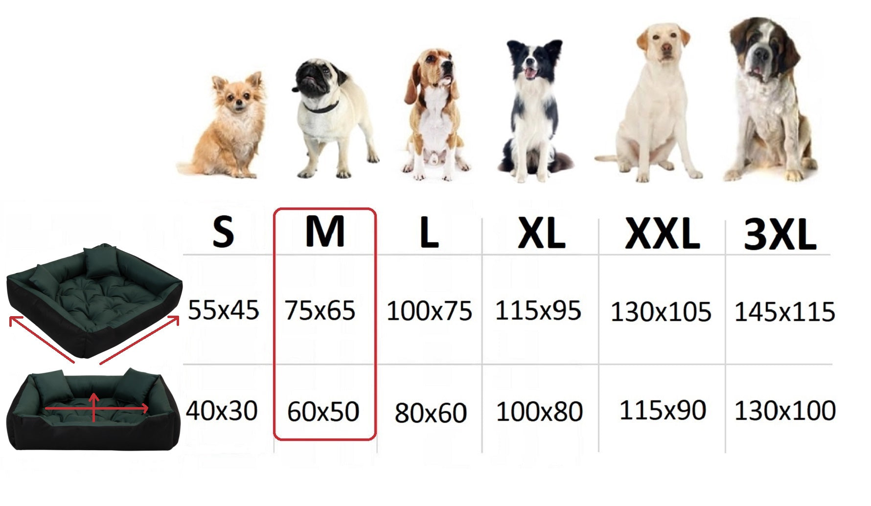 80368d2ef05188ced73cdb2b548ccd2d