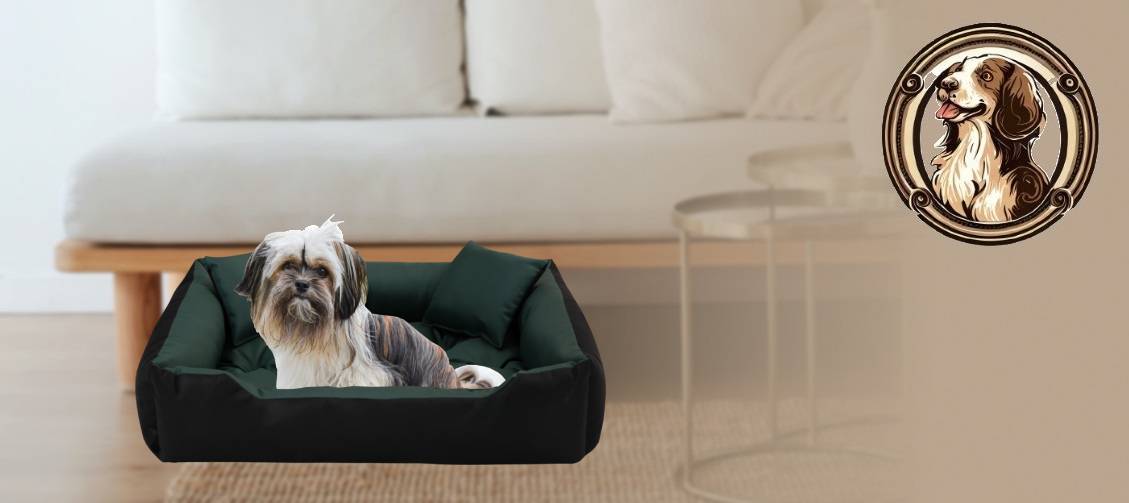 6dd5be8f1c90f718314cf327228eaa70