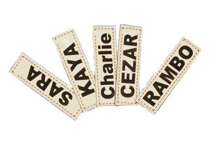 f6c3b3c30ac86396c84a9ee5fc99b699