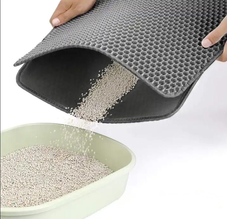 872769b54207a3982e303187c6a3ca33