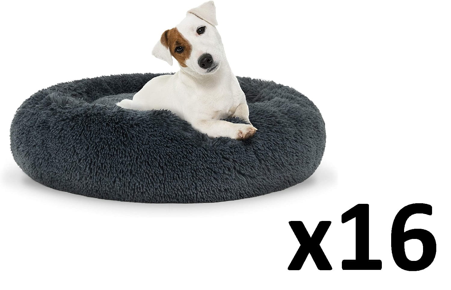 1d8dde8b41e9fa5c50d767864f71d3d6