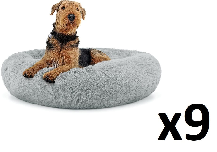 44e88be6b8dfedeba6a1ca5a56c19e66