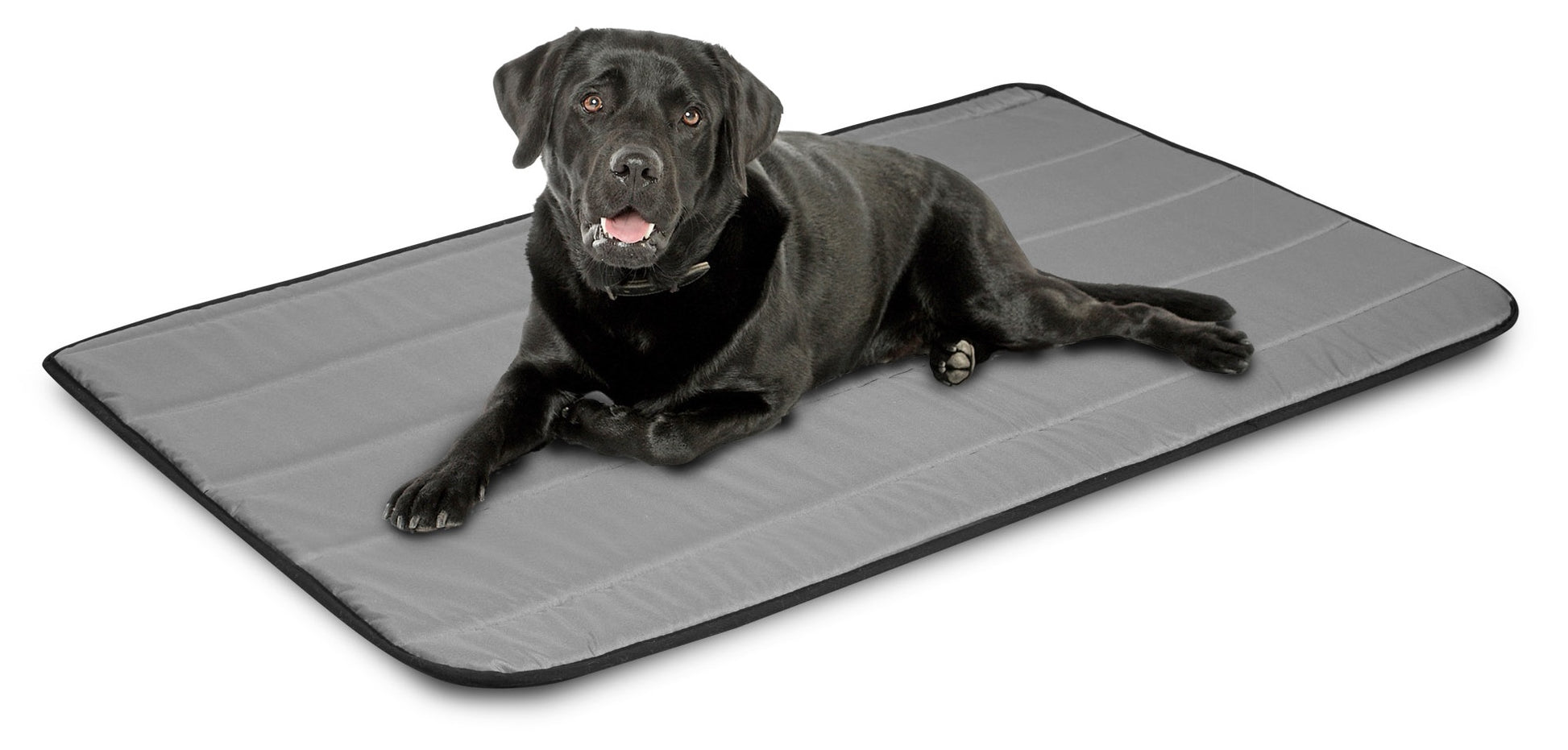 25a53659c6560d66ecf30b0fa91ab677