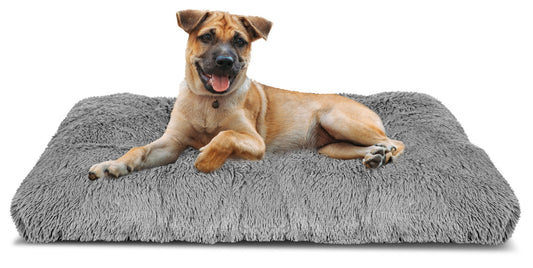 0f00ae6a7d3dd6631457d0a233ebfef0