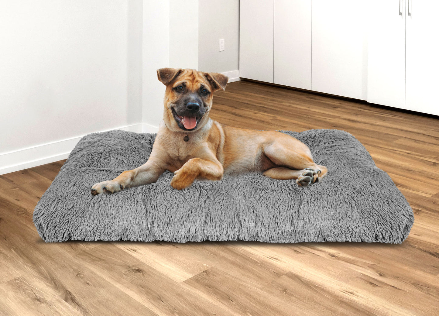 57f93aa745baf9bbc3b7bf6b9996a16b