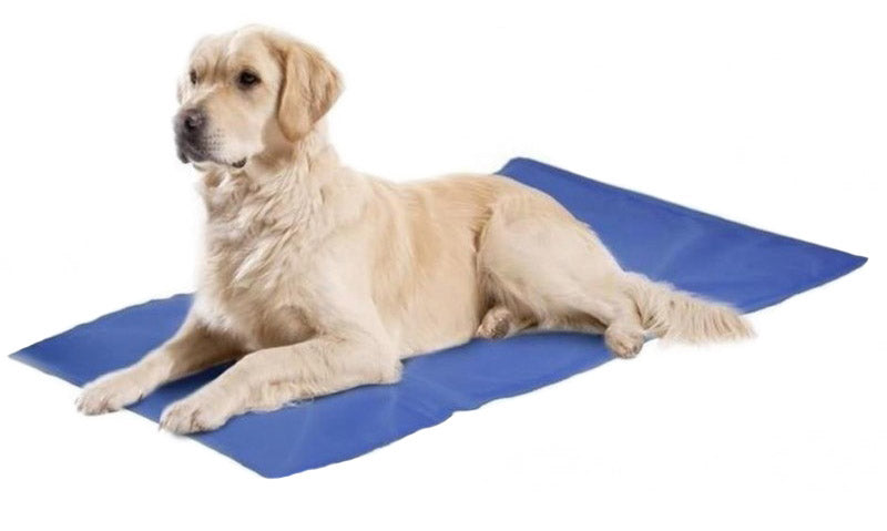 caa703049d4f6c57e5db64e59d30bf03