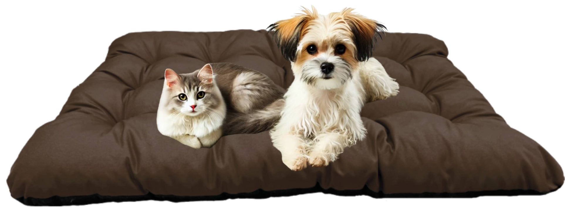 3a489cfccdd06b63039ffa5fa2a19d3d