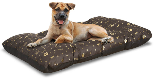 36d57d6f98a2e2142526ddfa2c77cd50